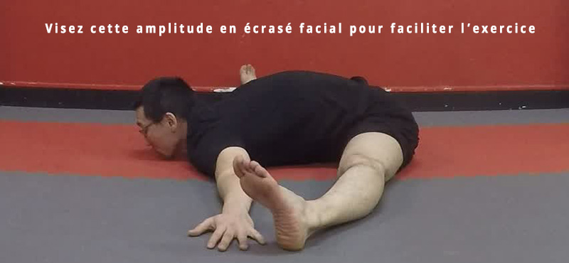 ecrasé facial poitrine au sol