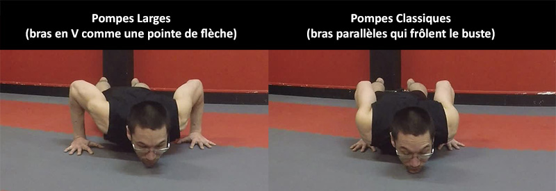 Pompes classiques - position des bras