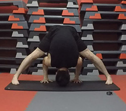 Pince Jambes Ecartées - Prasarita Padottanasana