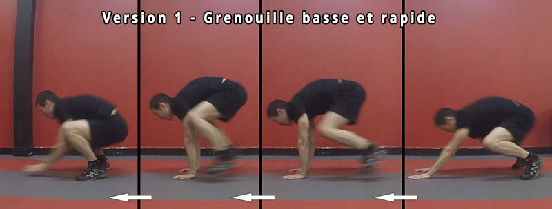 Grenouille basse et rapide