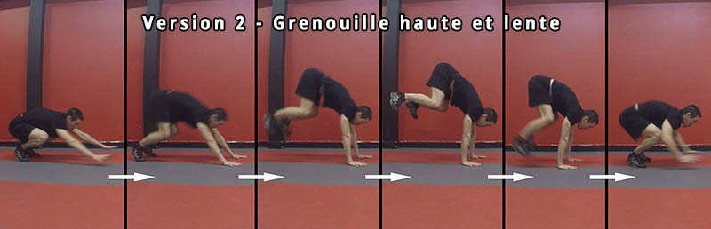 Grenouille haute et lente, mouvement décomposé