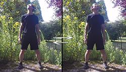 Rotations latérales en extension derrière
