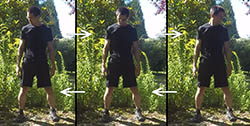 Rotations latérales en flexion devant