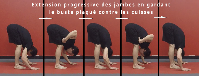 Pince - extension progressive des jambes