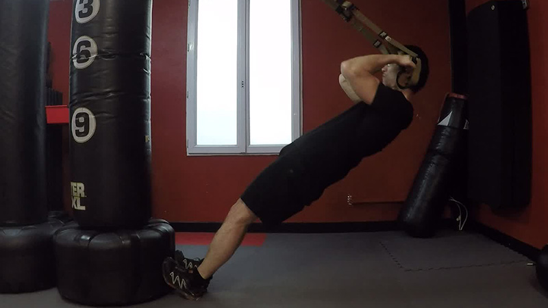 TRX - Curl Biceps