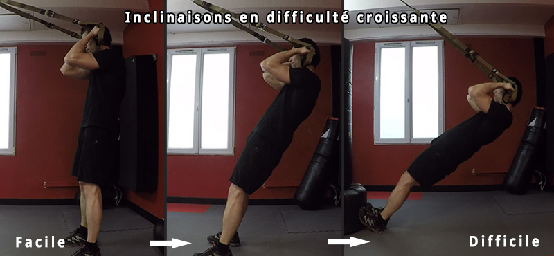 TRX - Curl Biceps - amplitudes