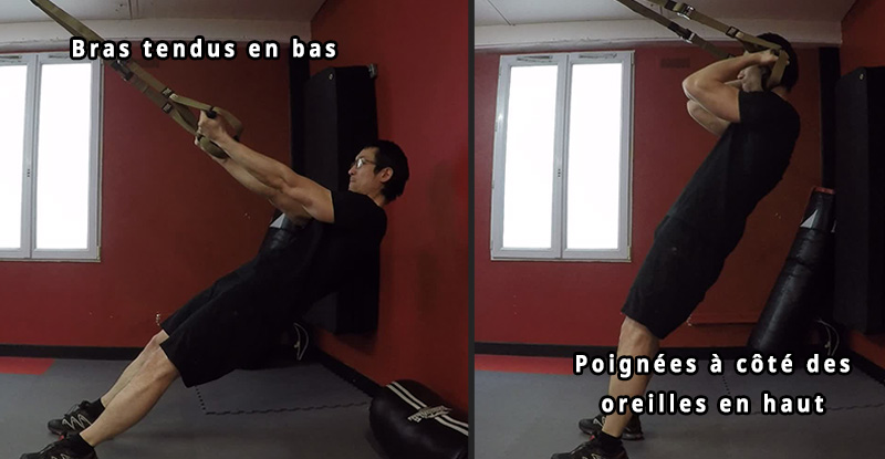 TRX - Curl Biceps - posture correcte