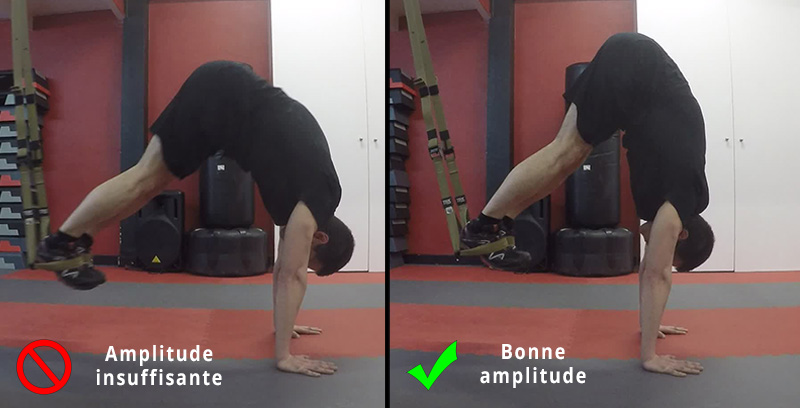 TRX - Pince en Suspension, amplitude