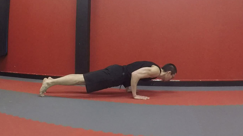 Chaturanga Dandasana