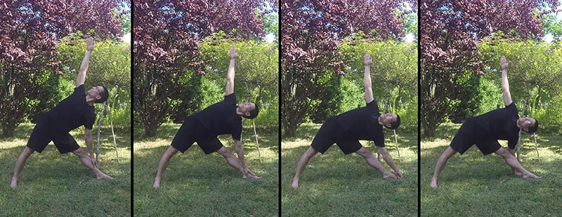 Utthita Trikonasana - amplitudes